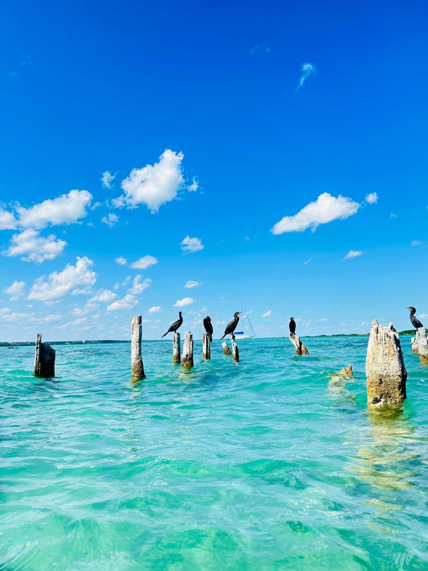 Departamentos Blue Bacalar Apartman Kültér fotó